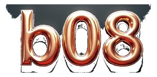 b08 logo